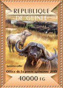 Stamp, Syncerus caffer, Guinea,  , Animals (Fauna), Buffaloes, Mammals