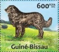 Stamp, Dogs, Guinea-Bissau,  , Animals (Fauna), Dogs, Mammals