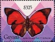 Stamp, Agrias claudina, Guyana,  , Animals (Fauna), Butterflies and Moths, Insects