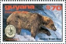 Stamp, Alaskan Brown Bear Fishing, Guyana,  , Animals (Fauna), Bears, Mammals