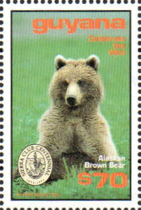 Alaskan Brownbear