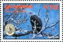 Stamp, Bald Eagle on Branch, Guyana,  , Animals (Fauna), Birds, Birds of Prey