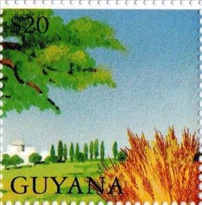 Stamp, Branches and Sheaves of Grain, Guyana,  , Biblical Accounts, Religion