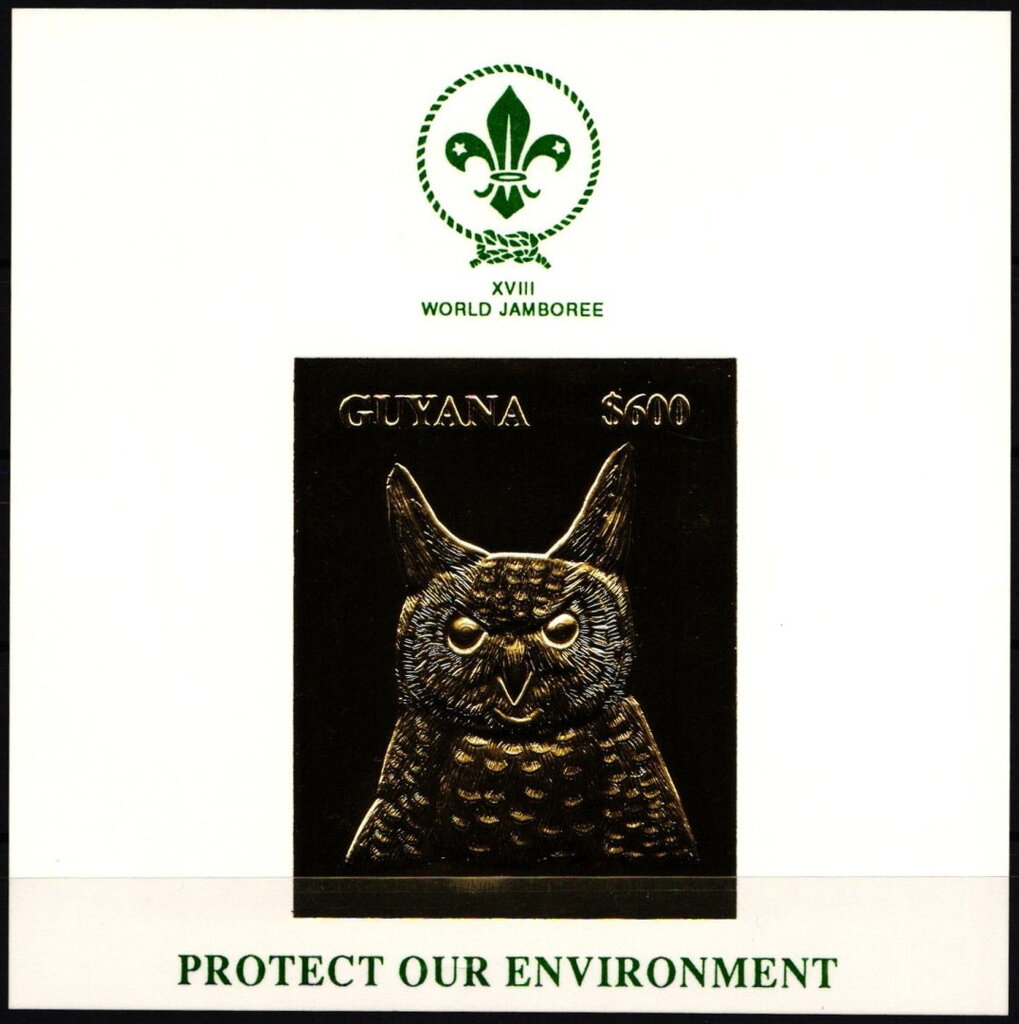 Eared Owl
