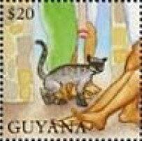 Gray Cat and Feet