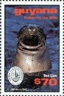 Head of Sea Lion