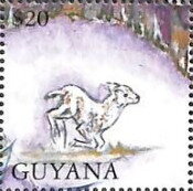 Stamp, Kid, Guyana,  , Biblical Accounts, Religion
