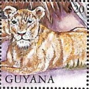 Stamp, Lioness, Guyana,  , Biblical Accounts, Religion