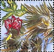 Palm Fronds and Hibiscus Flower