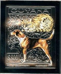 Stamp, Prionailurus rubiginosus, Guyana,  , Animals (Fauna), Dogs, Mammals, Paintings