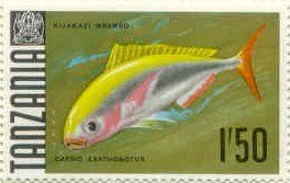 Stamp, Yellowback Fusilier (Caesio xanthonotus), Tanzania,  , Fishes