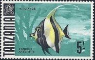 Moorish Idol (Zanclus cornutus) 