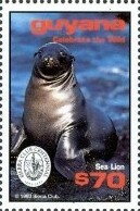 Sea Lion