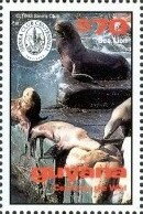 Sea Lions on Rocks