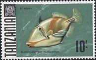 Stamp, Lagoon Triggerfish (Rhinecanthus aculeatus), Tanzania,  , Animals (Fauna), Fishes