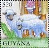 Sheep and Feet of the Brothers