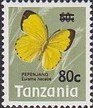 Large Grass Yellow (Eurema hecabe)