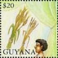 Stamp, Thick and Thin Ears, Guyana,  , Biblical Accounts, Religion