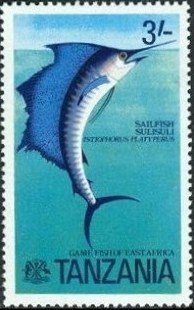 Indo-pacific Sailfish (Istiophorus platypterus)