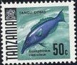 Stamp, Green Birdmouth Wrasse (Gomphosus caeruleus), Tanzania,  , Animals (Fauna), Fishes