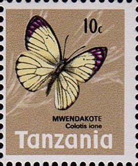 Stamp, Bushveld Purple Tip (Colotis ione), Tanzania,  , Butterflies