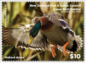 Stamp, Mallard drake, New Zealand,  , Animals (Fauna), Birds, Ducks
