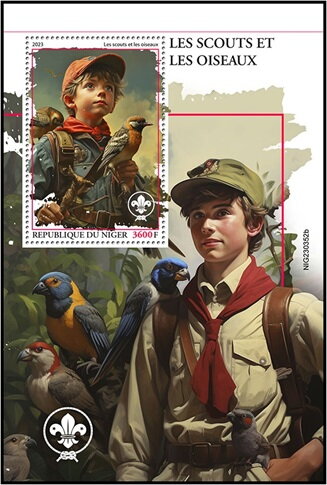 Scouts & Birds
