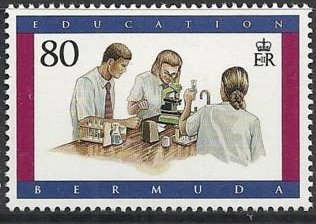 Students working in lab