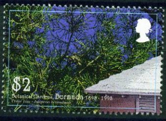 Stamp, Cedar tree, Bermuda,  , Trees, Plants (Flora)