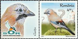 Stamp with Attached Label, Eurasian Jay (Garrulus glandarius), Romania,  , Animals (Fauna), Birds