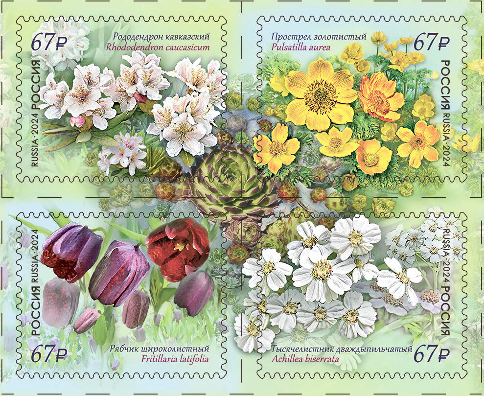 Flora of Russia - Flora of the Caucasus
