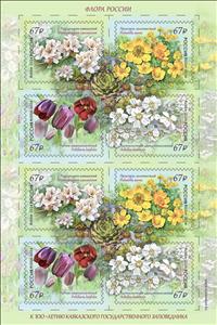 Full Pane, Flora of Russia - Flora of the Caucasus, Russia,  , Flowers, Plants (Flora)