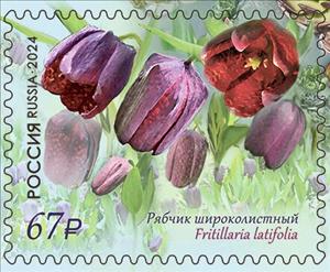 Stamp, Fritillaria latifolia, Russia,  , Flowers, Plants (Flora)