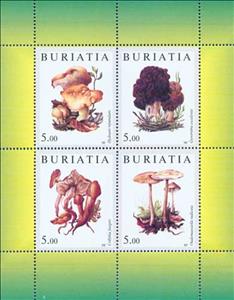 Mini Sheet, Mushrooms, Russia, Buryatia,  , Mushrooms