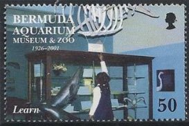Stamp, Child, museum display, Bermuda,  , Tourism, Museums, Zoos, Animals (Fauna)