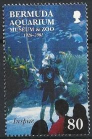 Diver in aquarium tank