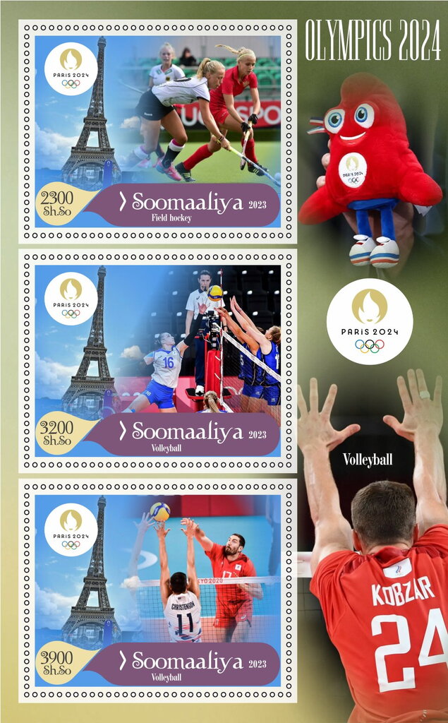 Olympic Games in Paris in 2024