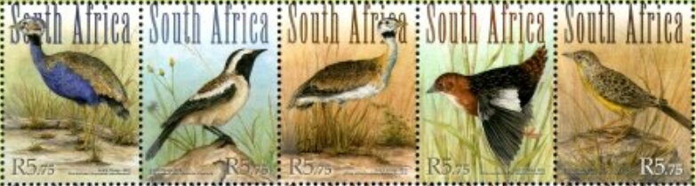 Grassland Birds of South Africa
