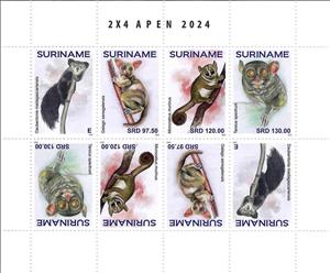 Full Pane, Primates, Suriname,  , Animals (Fauna)