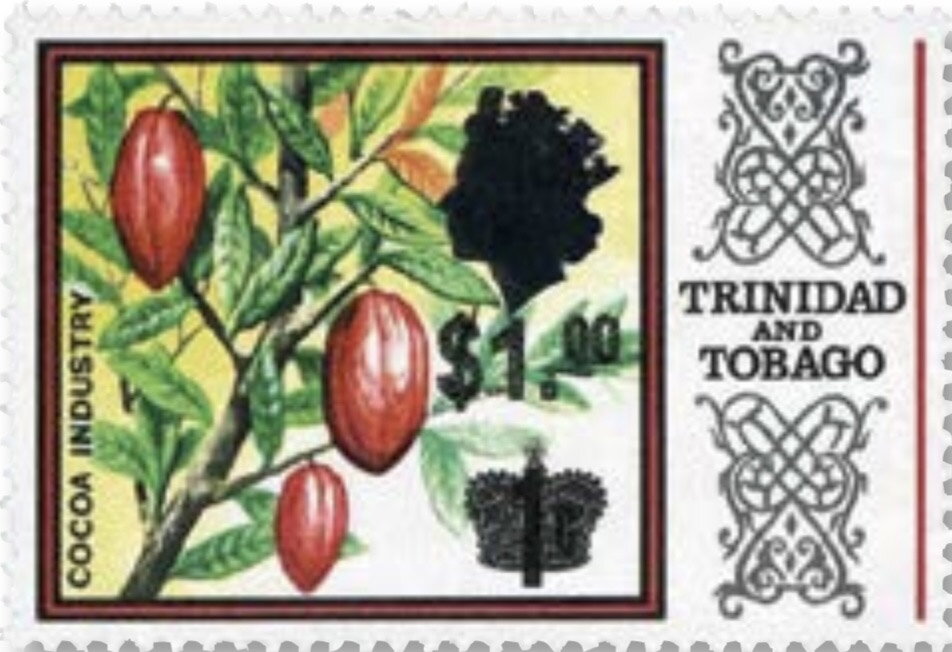 Cocoa Beans (Theobroma cacao) Surcharged