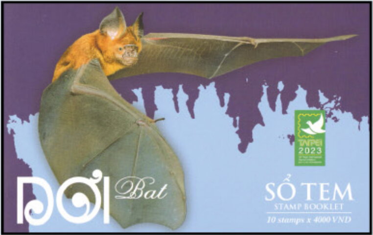 Hạ Long Leaf-nosed Bat (Hipposideros alongensis)