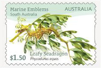 Leafy Seadragon (Phycodurus eques)