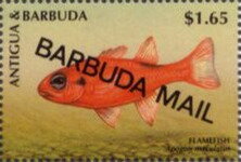 Stamp, Flamefish (Apogon maculatus) - Overprinted, Barbuda,  , Animals (Fauna), Fishes, Sea Life