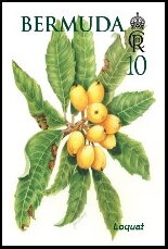 Stamp, Loquat, Bermuda,  , Fruits and Berries