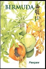 Stamp, Pawpaw, Bermuda,  , Fruits and Berries