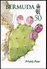 Prickly Pear