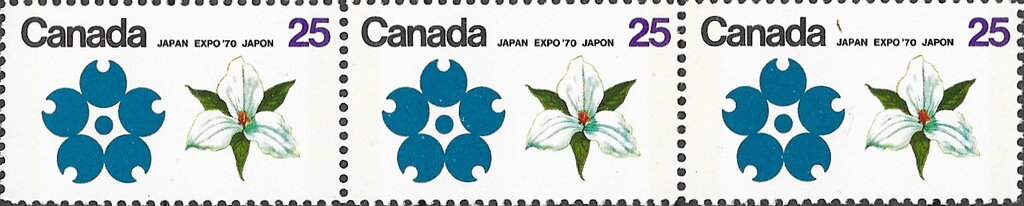White Garden Lily (Quebec) and Stylised Cherry Blossom