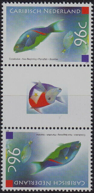 Parrot Fish (Scarus sp.)