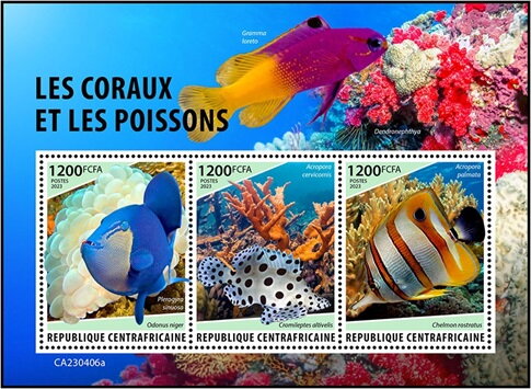 Corals & Fishes