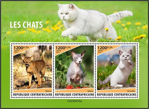 Domestic Cats